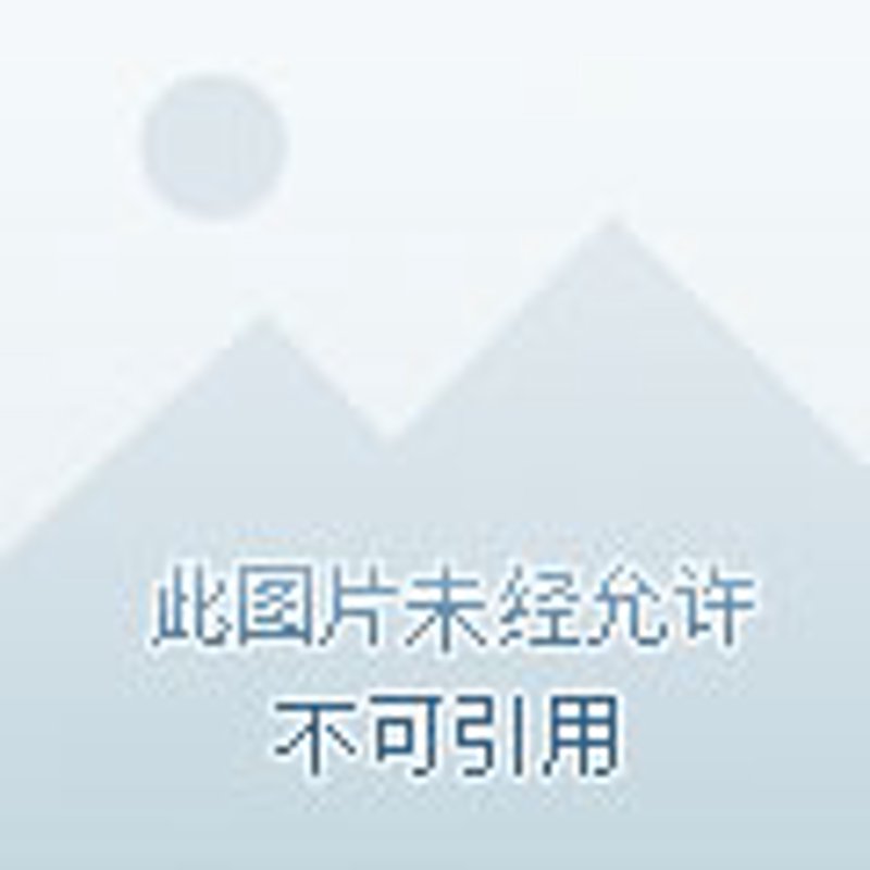 石家庄批发